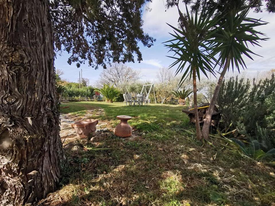 Bed & Breakfast Villa Flora Eredita Екстер'єр фото